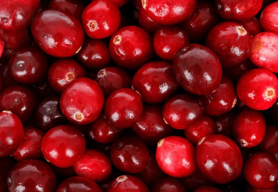 All You Need to Know About Antioxidants - Farmatuur