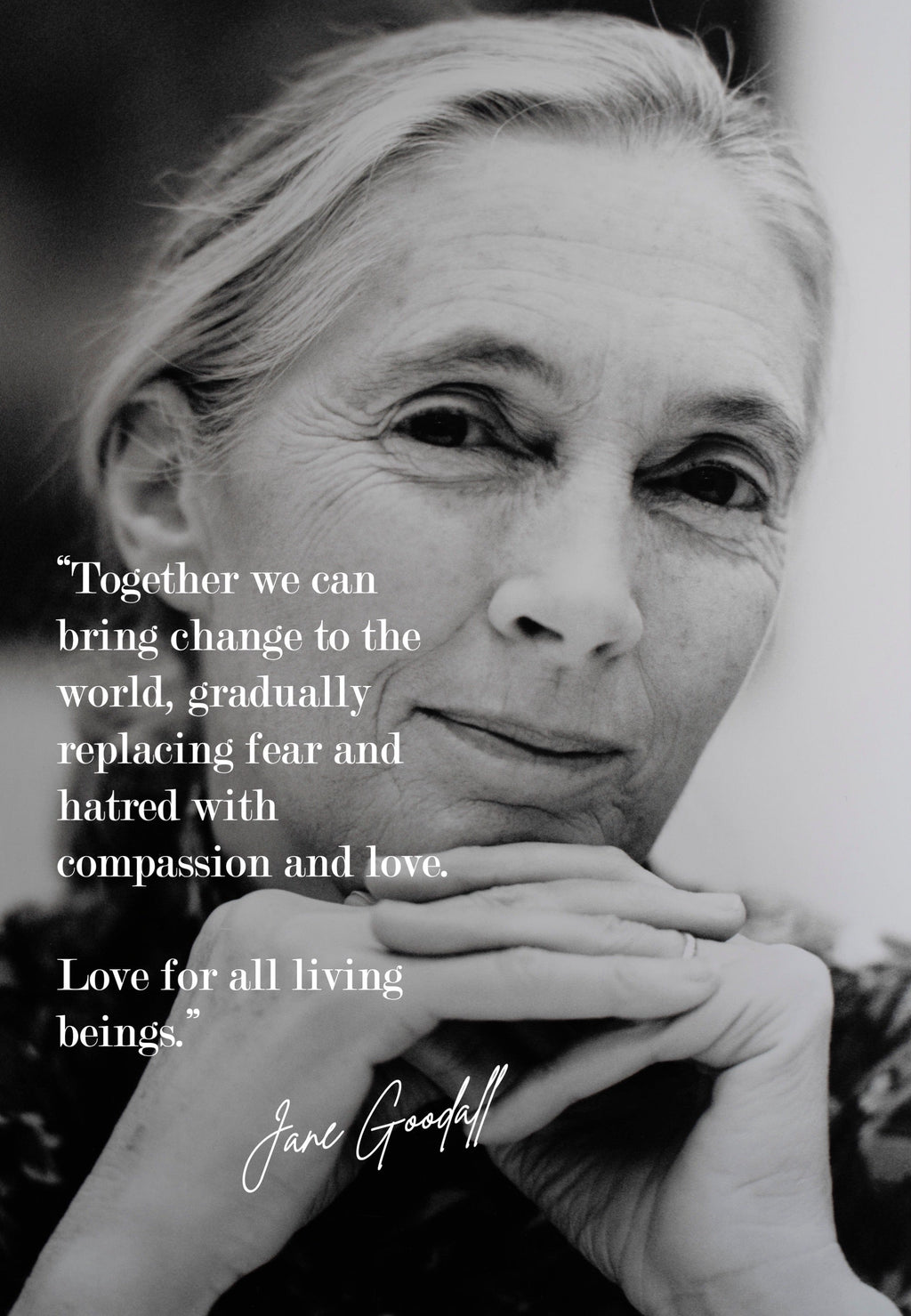 Jane Goodall, a life that changed how we see the living world - Farmatuur