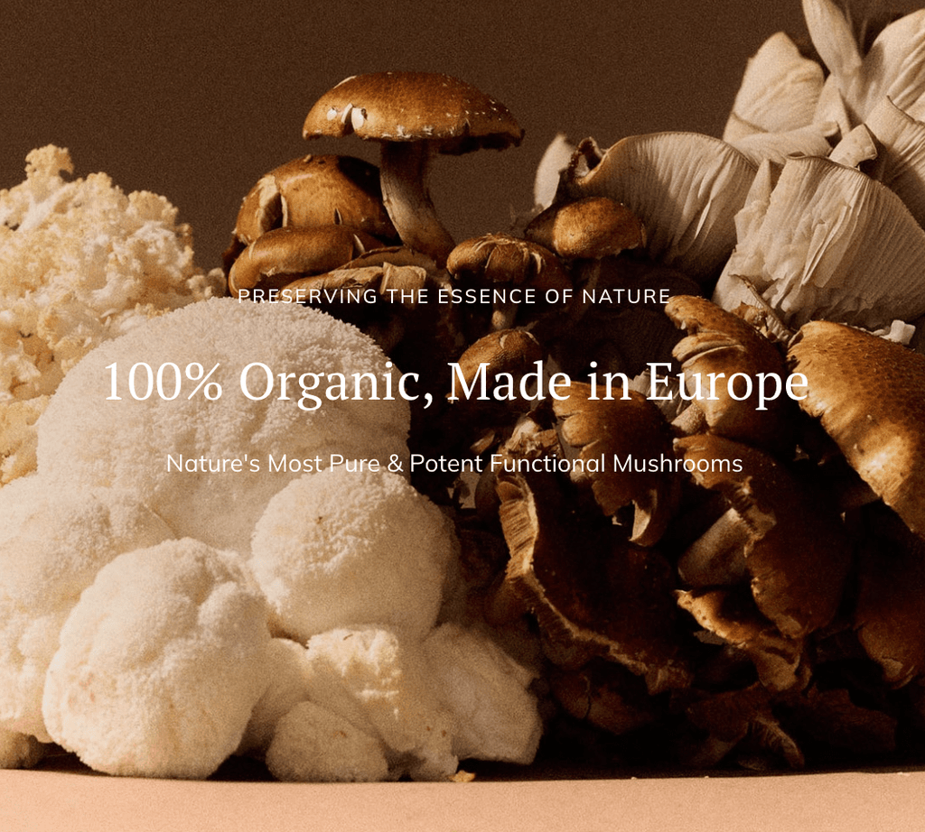 THE FUTURE IS FUNGI - Farmatuur