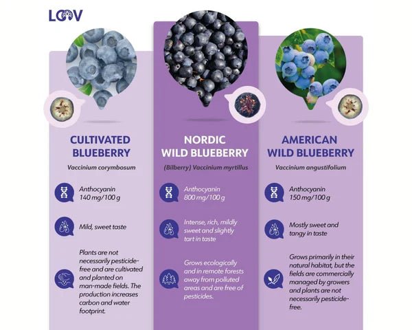 Wild vs. Cultivated Berries: What It Means in Practice - Farmatuur