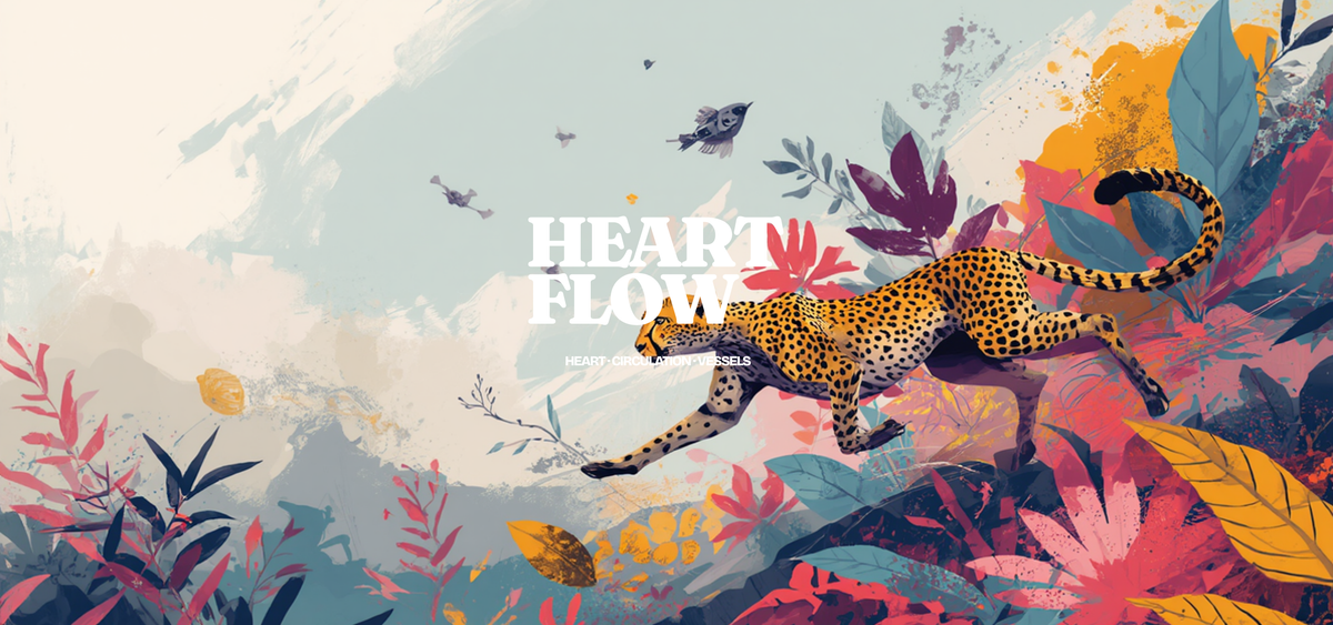 Heart Flow