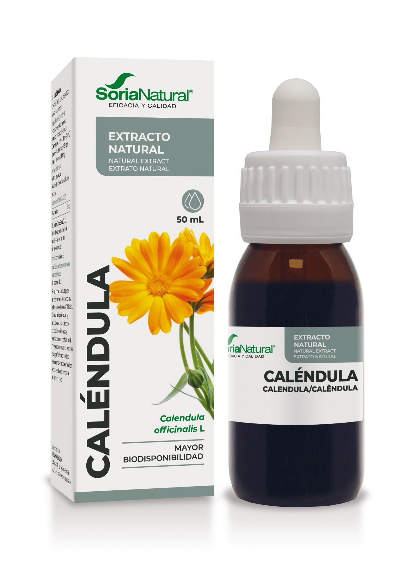 Calendula Extract - Gastric protection & menstrual cycle support