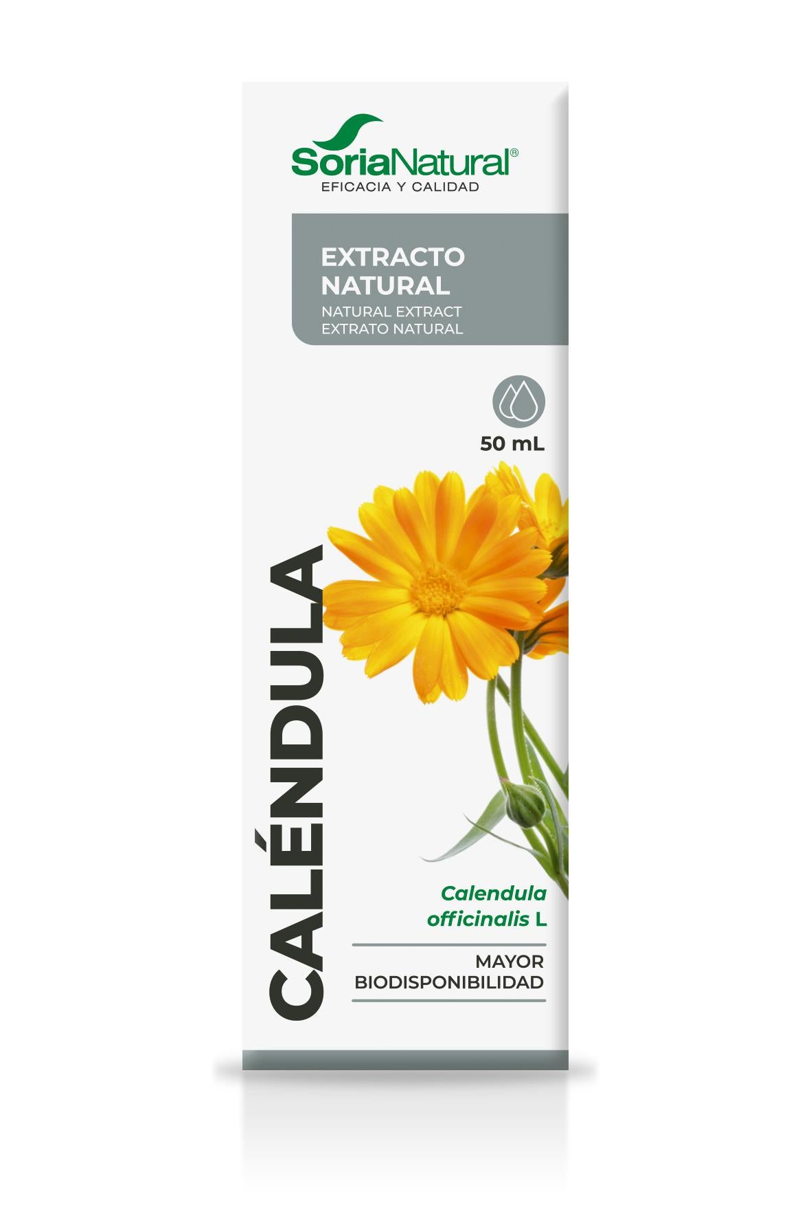 Calendula Extract - Gastric protection & menstrual cycle support