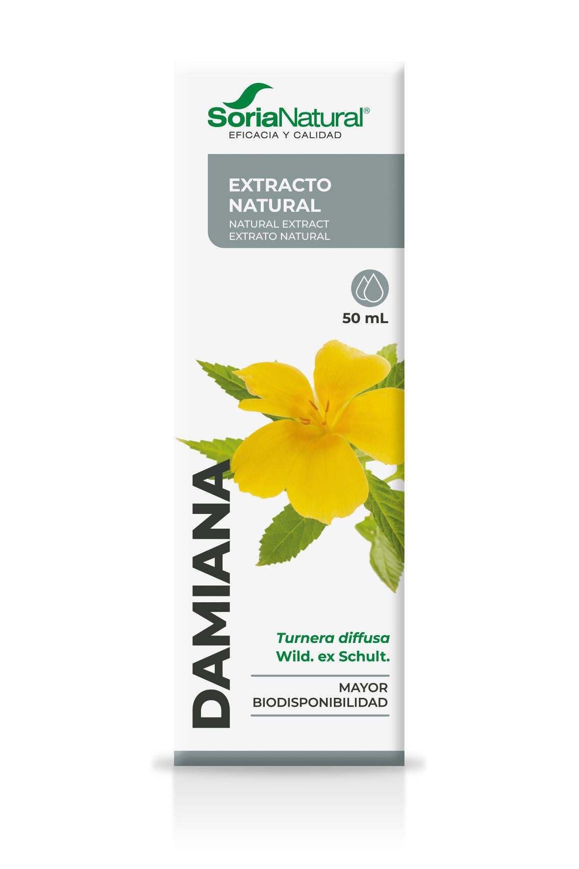 Damiana Extract - A Botanical Tradition of Desire & Vitality