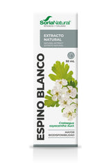 Hawthorn Extract - Heart health