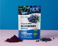 Blueberry Powder - Wild & Freeze Dried - Farmatuur