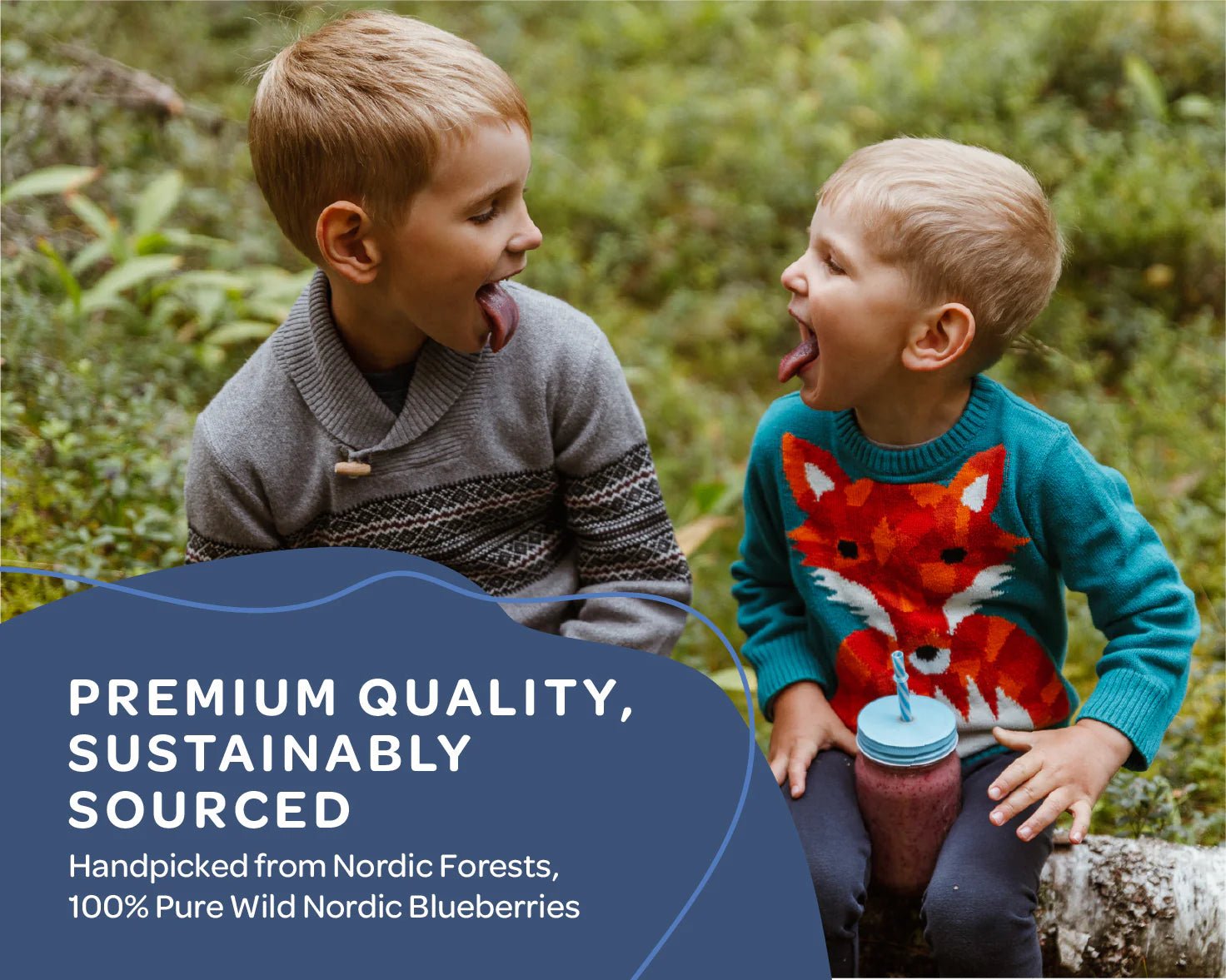 Blueberry Powder - Wild & Freeze Dried - Farmatuur