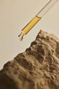 Day & Night - Mushroom Liquid Extract - Farmatuur