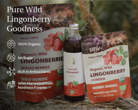 Lingonberry Powder - Freeze Dried Lingonberries - Farmatuur