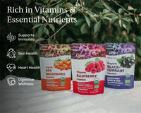 Sea Buckthorn Powder - Organic & Air - Dried - Farmatuur