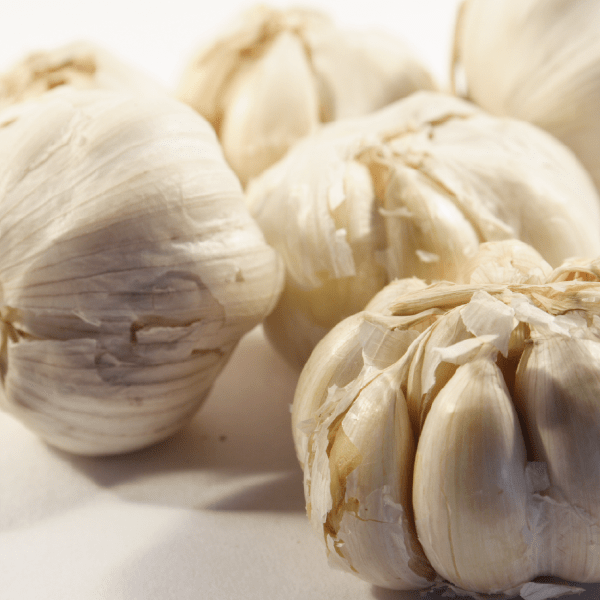 Tincture "Solanaceae" - Farmatuur